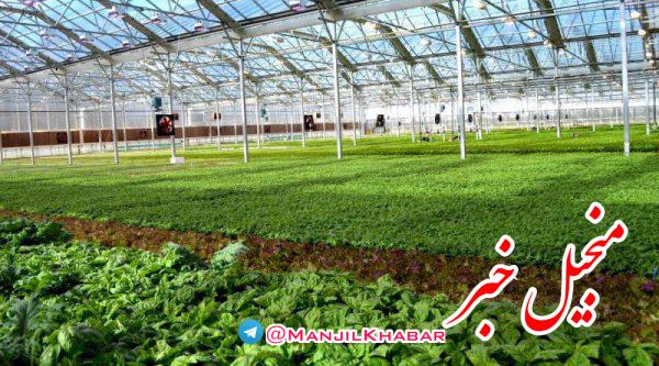 بهره برداری از ۳۱ طرح کشاورزی در گیلان